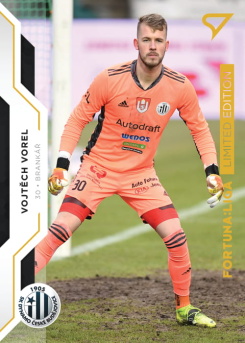 Vojtech Vorel Ceske Budejovice SportZoo FORTUNA:LIGA 2020/21 2. serie Gold Limited /99 #343